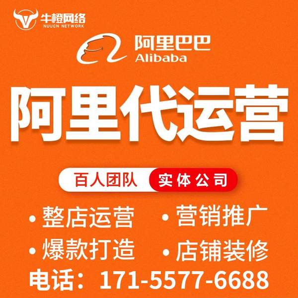 漯河电商代运营