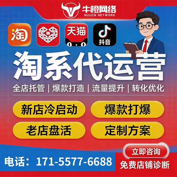 漯河电商代运营