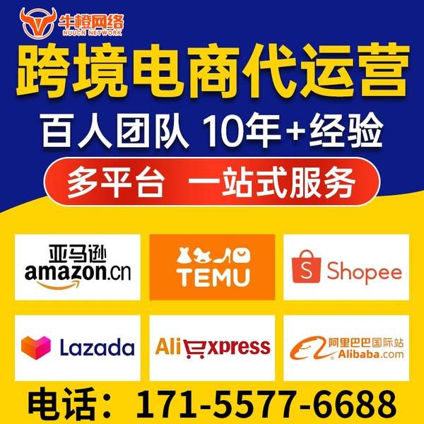 漯河电商代运营