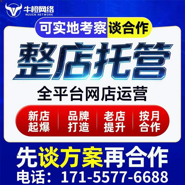 漯河电商代运营