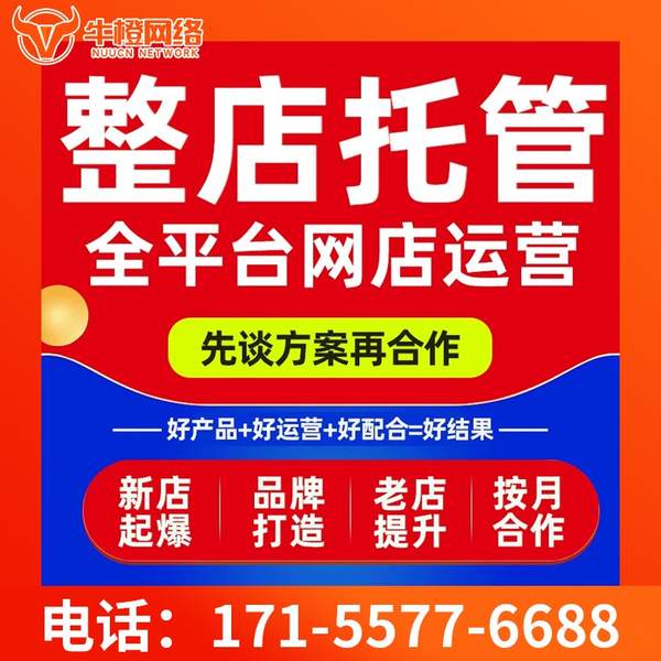 漯河电商代运营