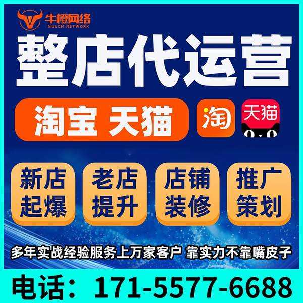 漯河电商代运营