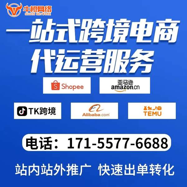 漯河电商代运营