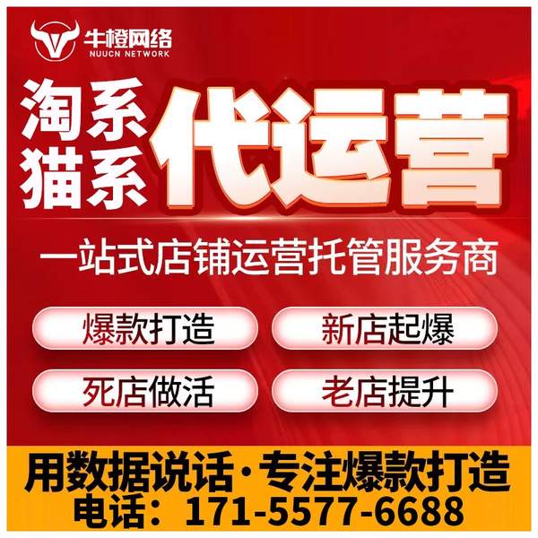 漯河电商代运营
